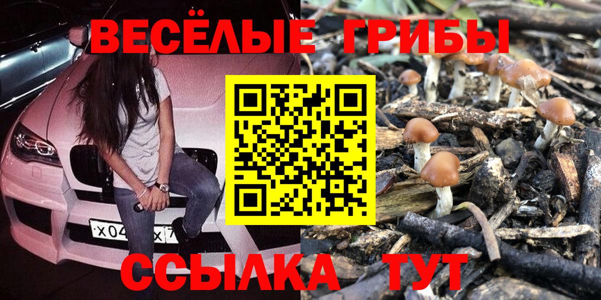 Псилоцибиновые грибы Psilocybe  Вход с VPN  наркотики  Галлюциногенные грибы Magic Shrooms  Вольск 